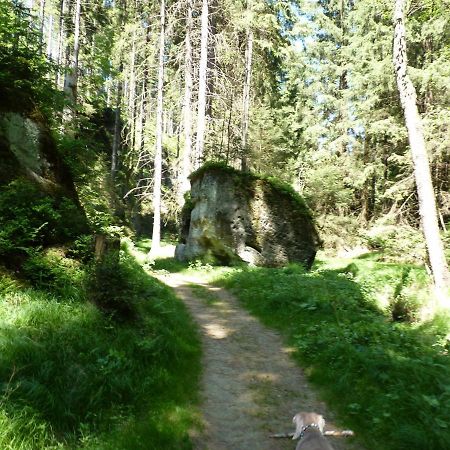 Ein Platz Fuer Ruhe Und Naturgenuss Зебниц Экстерьер фото